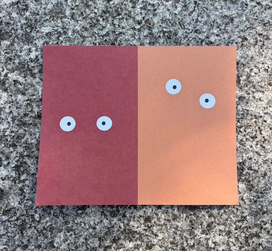 Carte postale N-3                            Collection Nita monster
